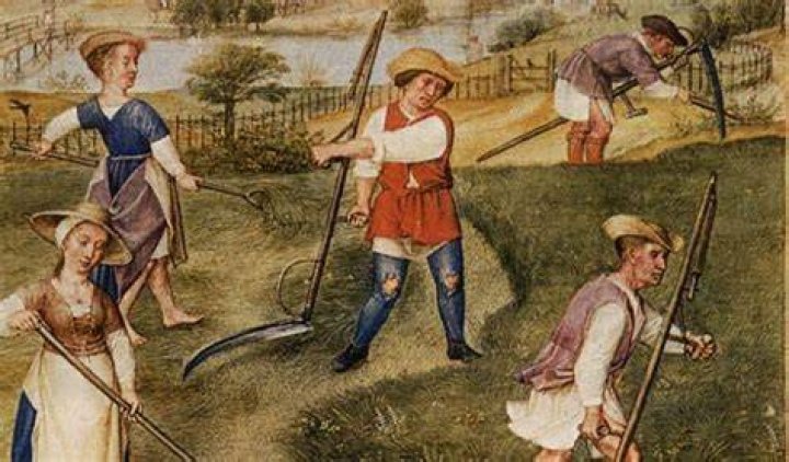 What were peasants obligations?