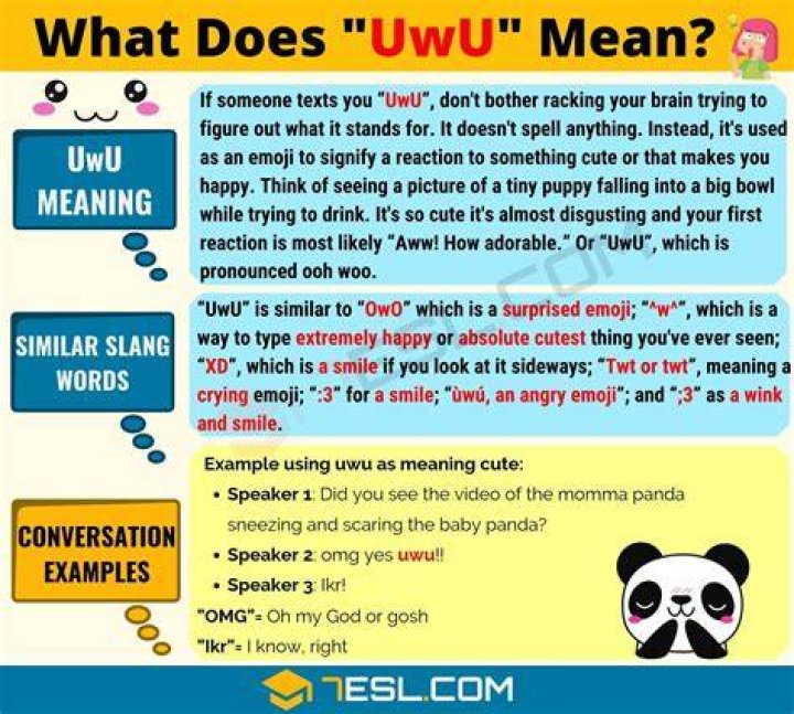 Whats means uwu?