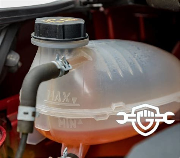 Where should my coolant level be?