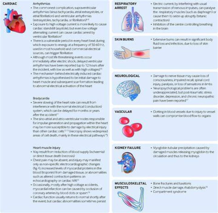 Which organ is mainly affected by electric shock?