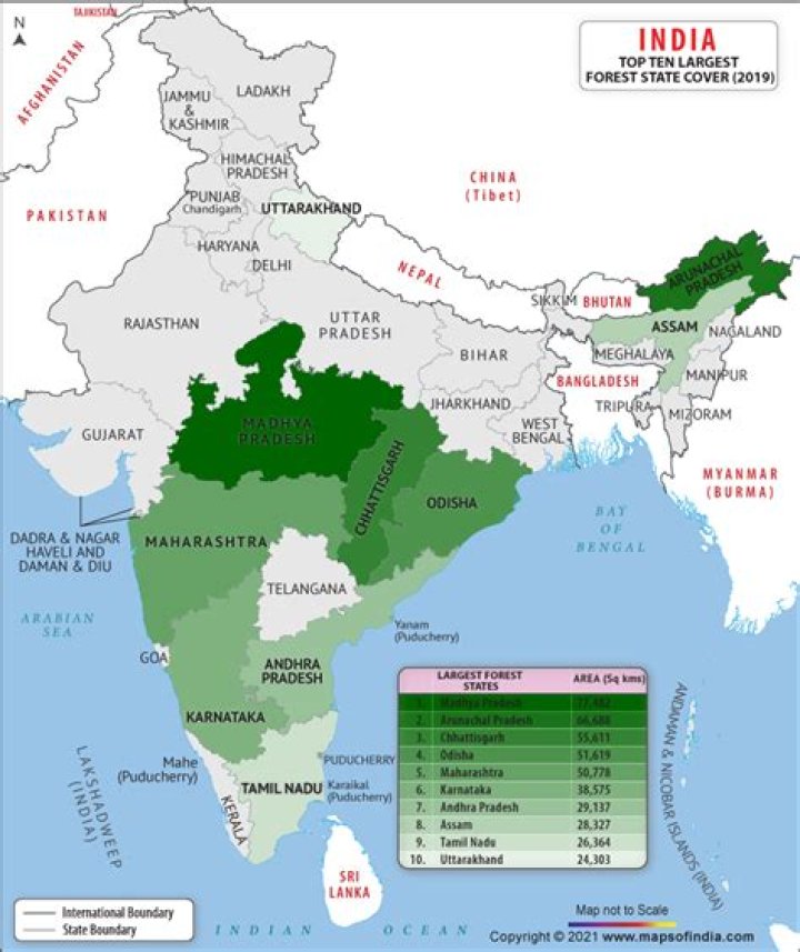 Which type of deciduous forest is highest in India?
