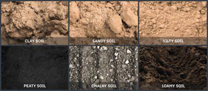 Who has the most black soil in the world?