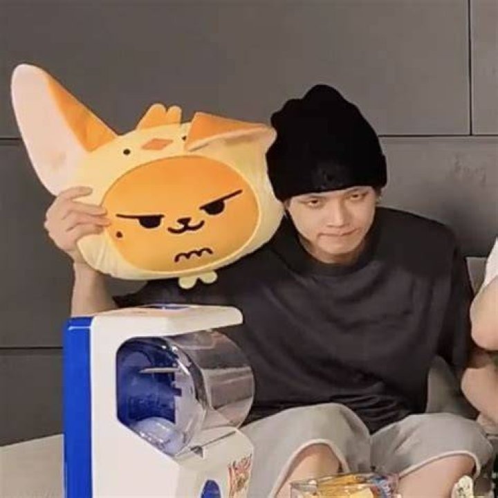 Who is Fox in TXT?