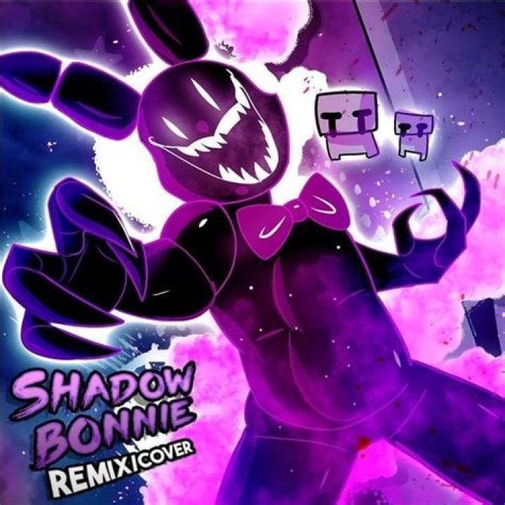 Who is shadow Bonnie's soul?