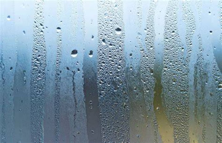 Why are my windows wet inside in the morning?