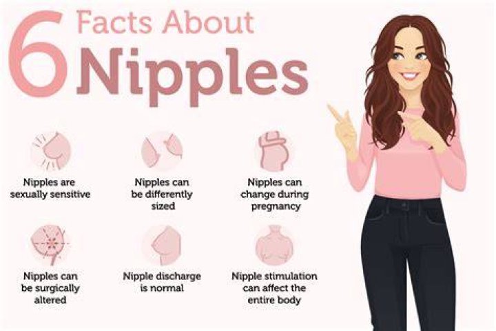 Why are nipples called nipples?