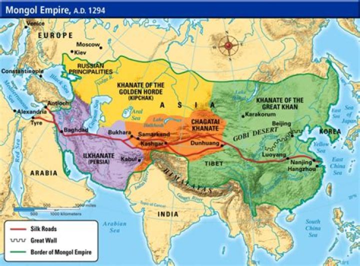 Why didn't the Mongols invade Western Europe?
