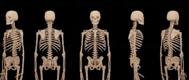 Why do human bones turn black?