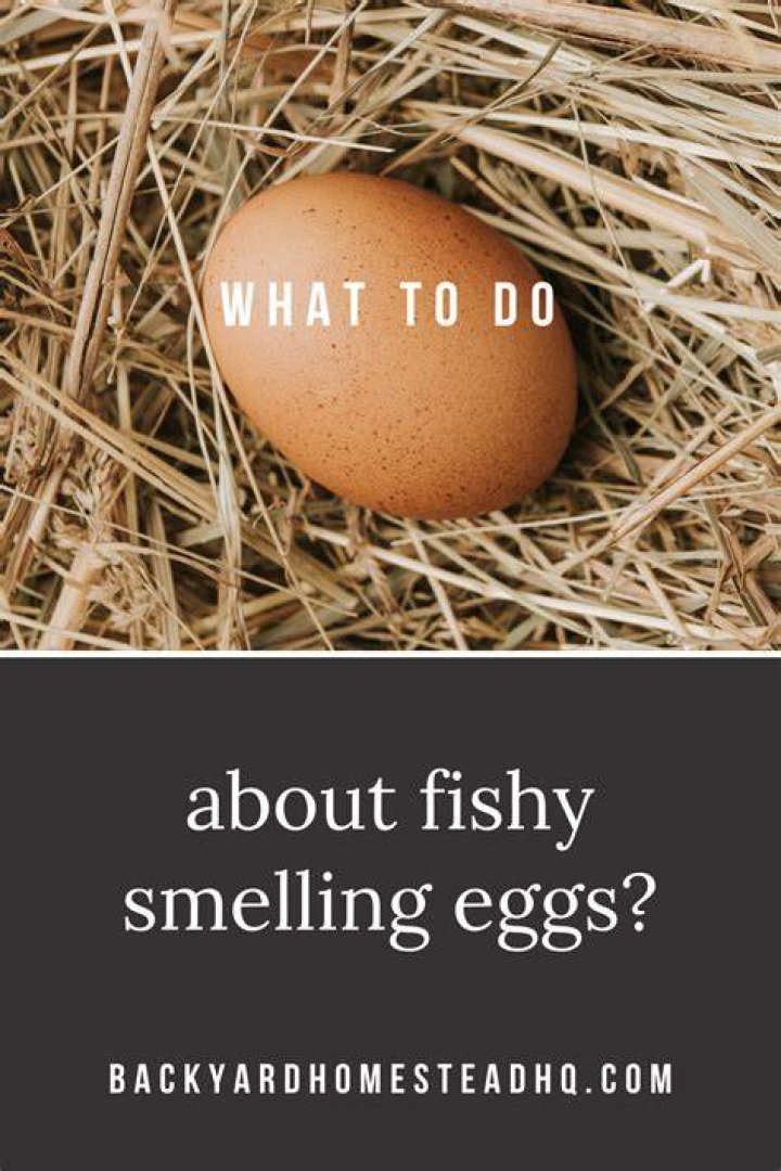 Why do my eggs smell like fish?
