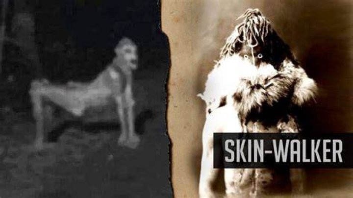 Why do the walkers have W on their heads?